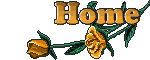 THE MAIN PAGE 